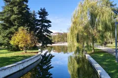 IMG_20251113_120805721_HDR_PCT