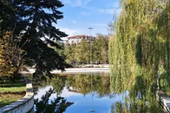 IMG_20251113_120809753_HDR_PCT