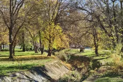 IMG_20251113_121415896_HDR_PCT