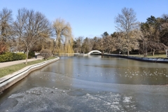IMG20250210130839