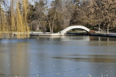 IMG20250210130845