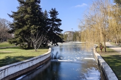 IMG20250210131239