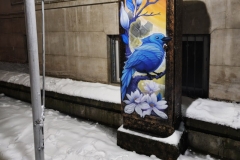 IMG20250217184526