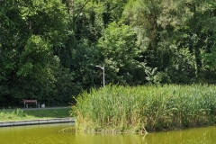 20230809_123247