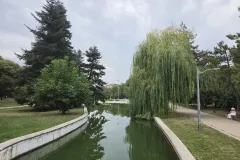 20260826_154523