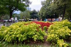 IMG_20220902_135052008_HDR