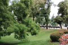 IMG_20220902_135937348