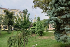 IMG_20220902_140314034_HDR