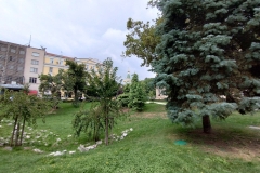 IMG_20220902_140316705_HDR