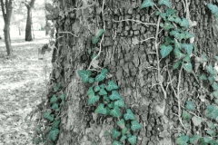 IMG_20220903_152953292