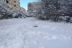 IMG_20231126_130210527