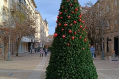 IMG_20231202_145430665_HDR