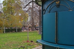 IMG_20231202_145846268_HDR