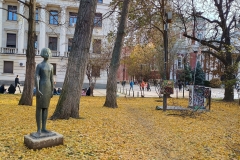 IMG_20231202_145941411_HDR