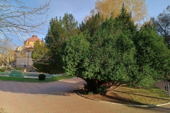 IMG_20231202_151116012_HDR