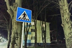 IMG_20210312_204553023