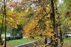 20201028_150957