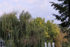 20201028_160643