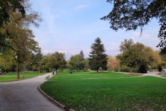 20201028_160720