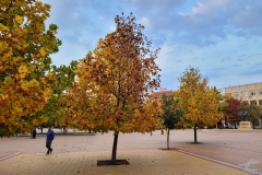 20201028_163756