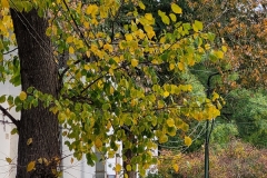20201029_144300