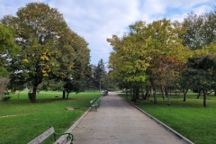20201029_144448