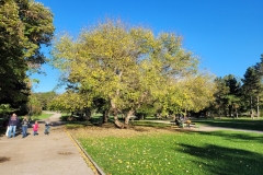 20201101_143529