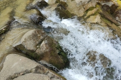IMG20220416131921