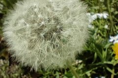 IMG20220423124822