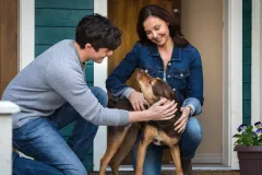 a-dog-s-way-home_6a44d438d957d