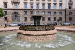 IMG_20240829_141724