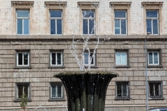 IMG_20240829_141727
