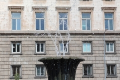 IMG_20240829_141734