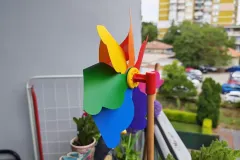 IMG_20250730_144258-copy