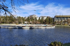 IMG_20211203_111907
