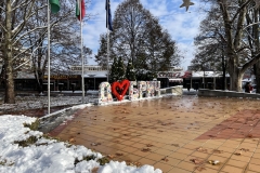 IMG_0023