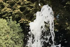IMG_0043