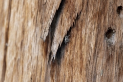 P1011188