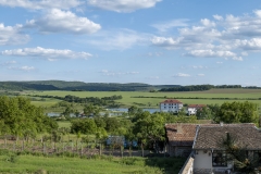 P1011293