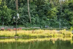 IMG_20260805_185606