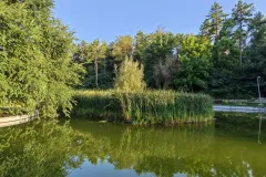 IMG_20260805_185656