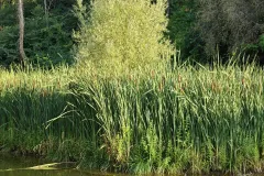 IMG_20260805_185658