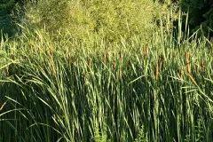 IMG_20260805_185701
