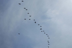 IMG_20220725_114311