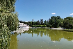 IMG_20230627_121127