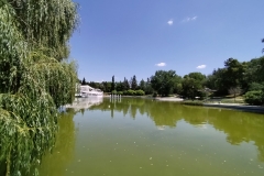 IMG_20230627_121131