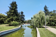 IMG_20230627_121740