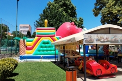 IMG_20230627_123051