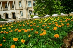 IMG_20240625_162036
