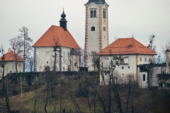 IMG_20250116_120630